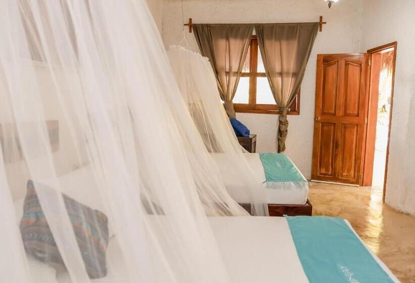 호텔 Zomay Beachfront Holbox