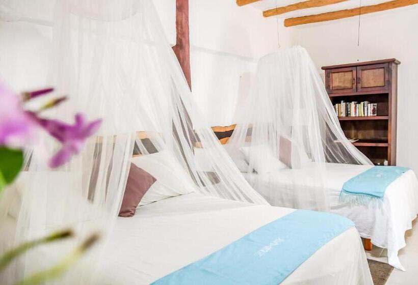 호텔 Zomay Beachfront Holbox