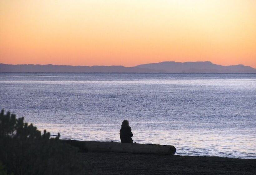 Napier Beach Top 10 Holiday Park & Motels