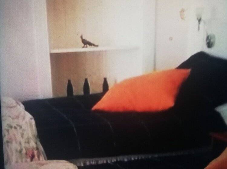 Пансион Inchbae Lodge