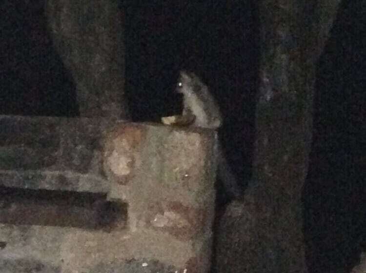 펜션 Le Roux Lodge