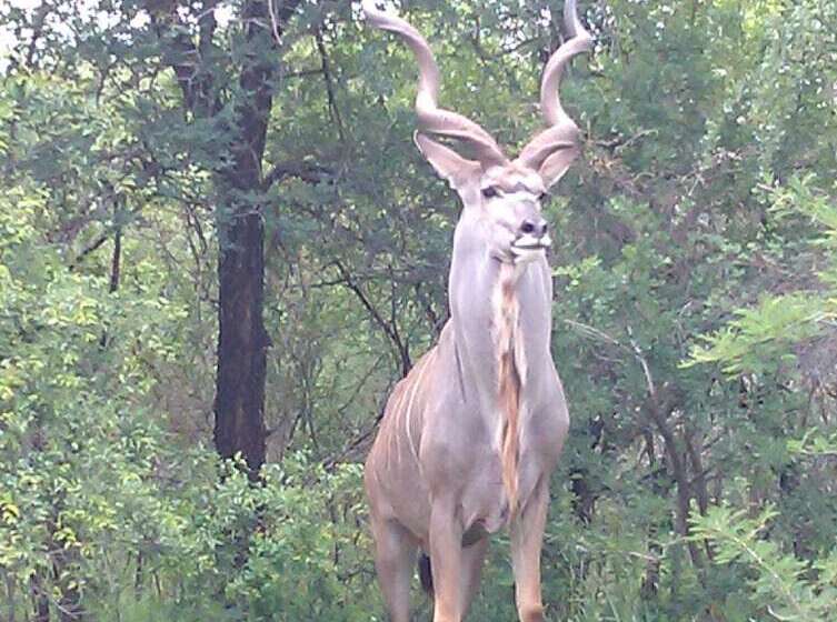 펜션 Le Roux Lodge