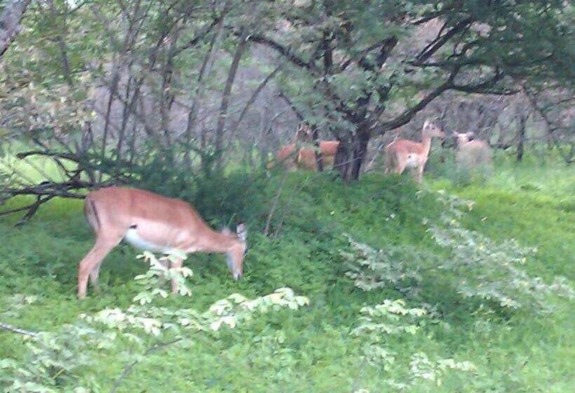 펜션 Le Roux Lodge