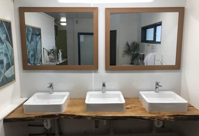 旅馆 Peppertree Lodge & Backpackers