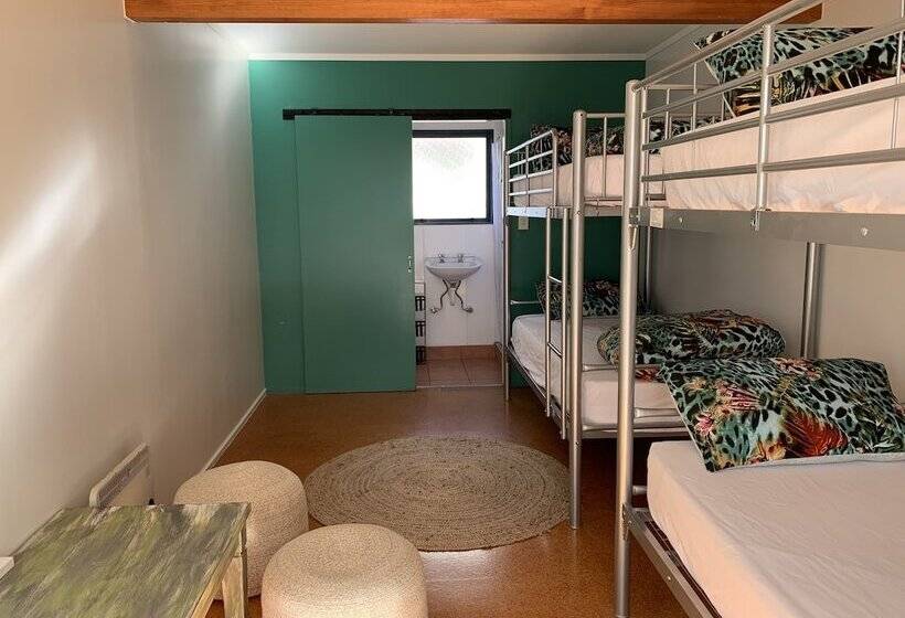 旅馆 Peppertree Lodge & Backpackers