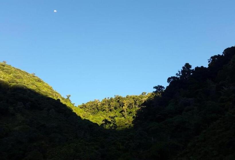 リゾートホテル Dantica Cloud Forest Lodge