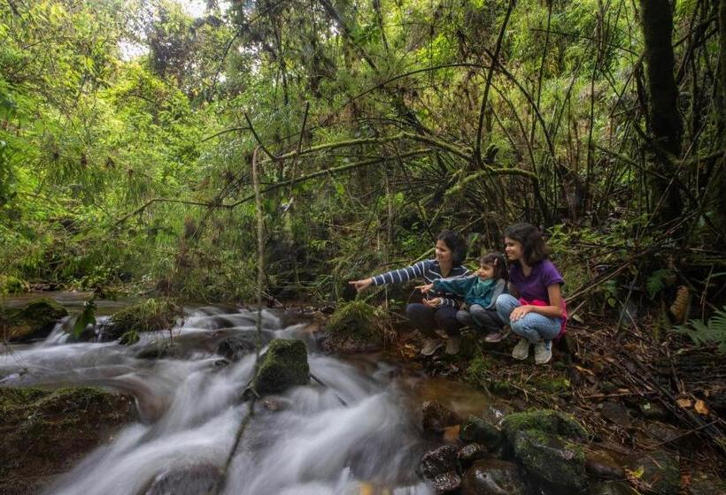 リゾートホテル Dantica Cloud Forest Lodge