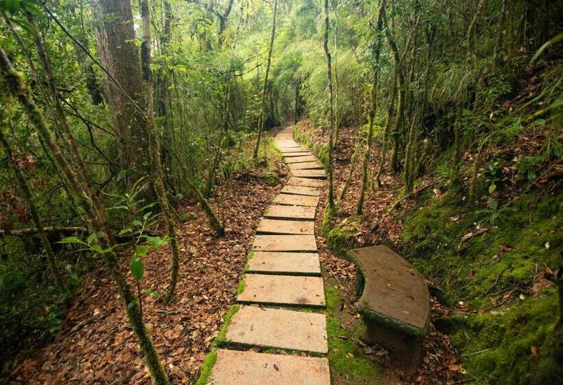 منتجع Dantica Cloud Forest Lodge