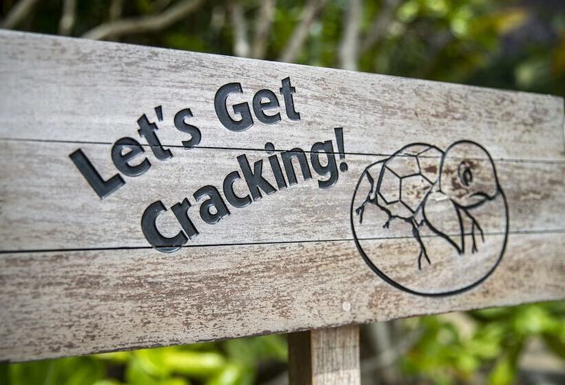 渡假胜地  Six Senses Con Dao   Turtle Island Paradise