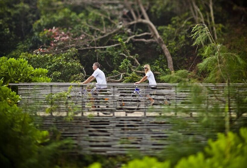 渡假胜地  Six Senses Con Dao   Turtle Island Paradise