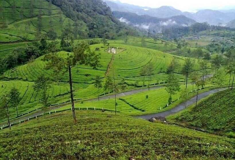 Wild Elephant Eco Friendly Resort