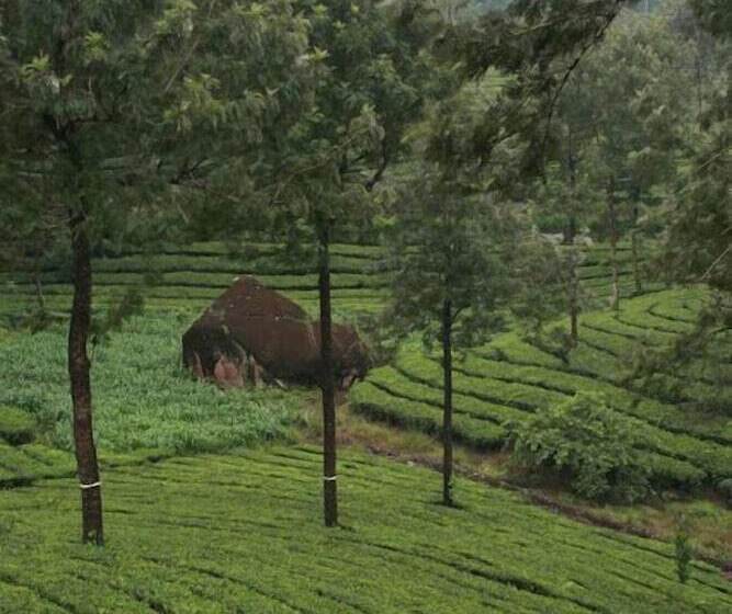 Wild Elephant Eco Friendly Resort