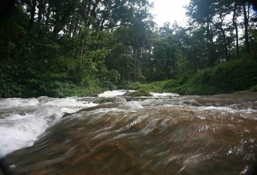 Wild Elephant Eco Friendly Resort