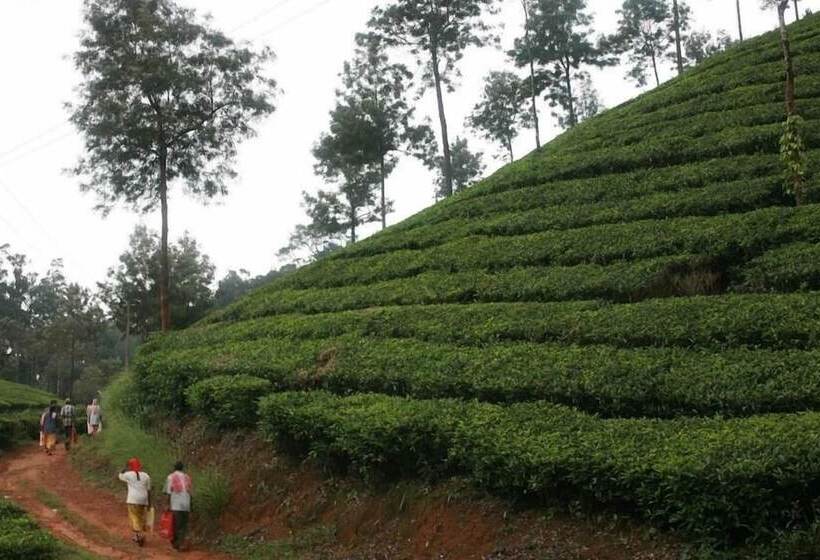 Wild Elephant Eco Friendly Resort