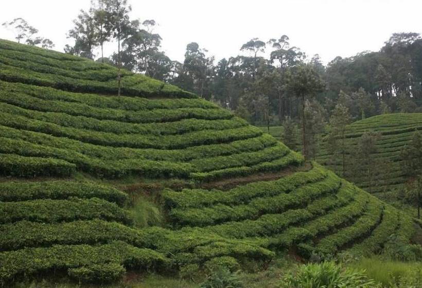 Wild Elephant Eco Friendly Resort