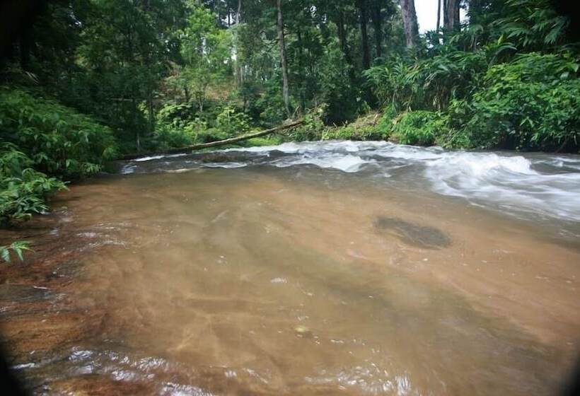 Wild Elephant Eco Friendly Resort