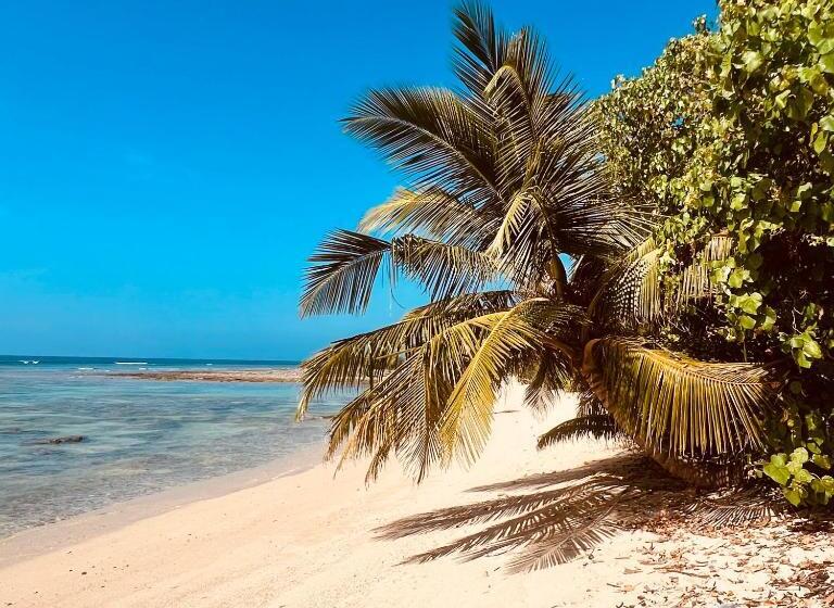 ホテル Blue Sea Restaurant & Bungalows