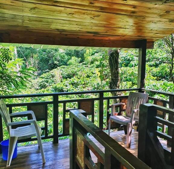 אתר נופש Turtle Pond Home Stay