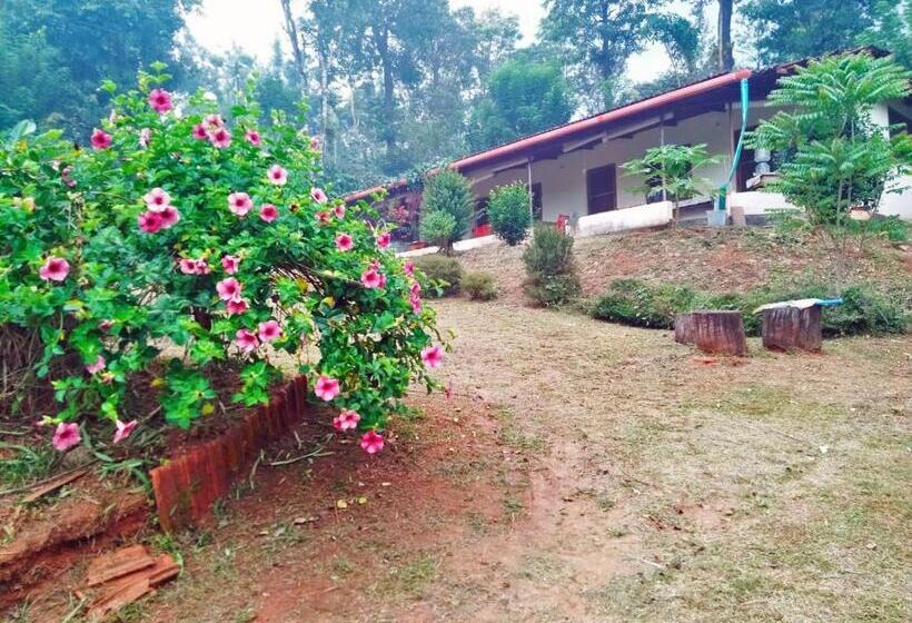 אתר נופש Turtle Pond Home Stay