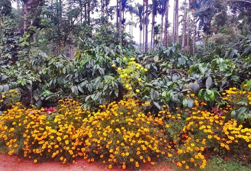 אתר נופש Turtle Pond Home Stay