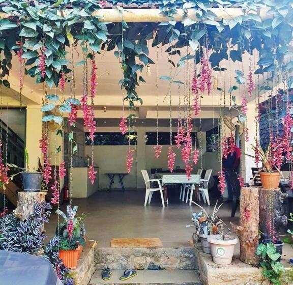 渡假胜地  Turtle Pond Home Stay