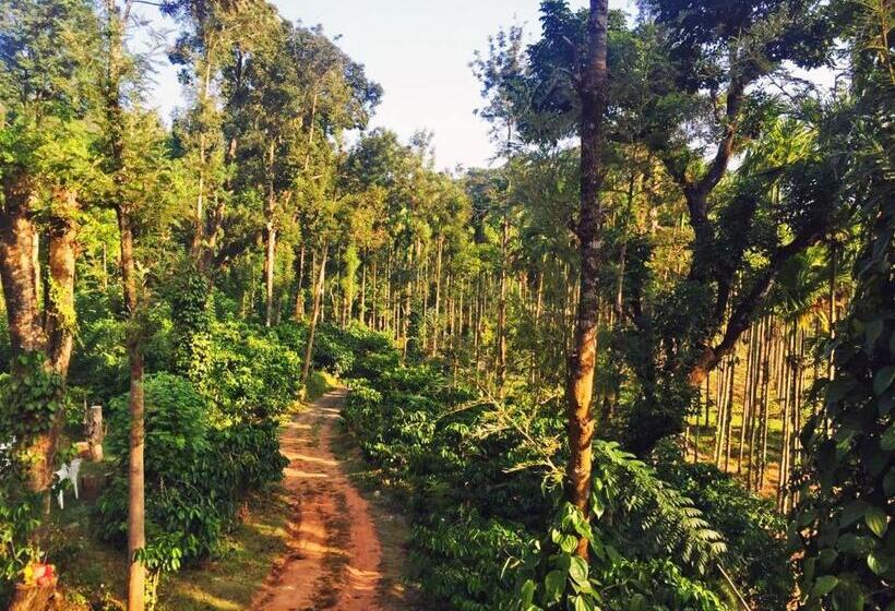 אתר נופש Turtle Pond Home Stay