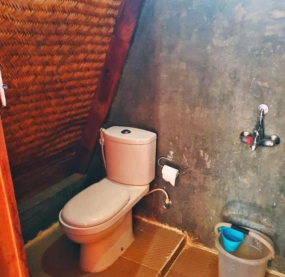 אתר נופש Turtle Pond Home Stay