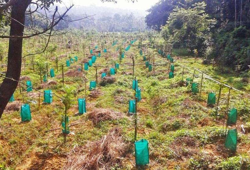 אתר נופש Turtle Pond Home Stay