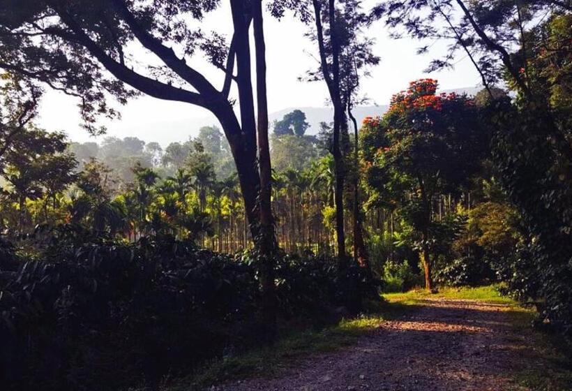 אתר נופש Turtle Pond Home Stay