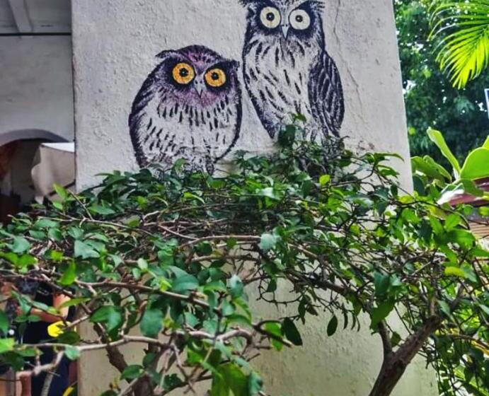 אתר נופש Turtle Pond Home Stay