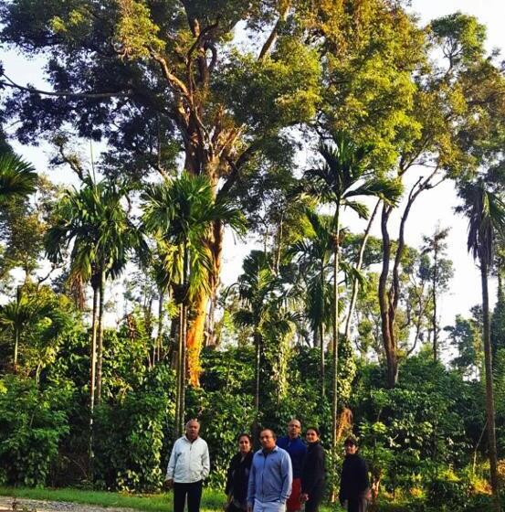 אתר נופש Turtle Pond Home Stay