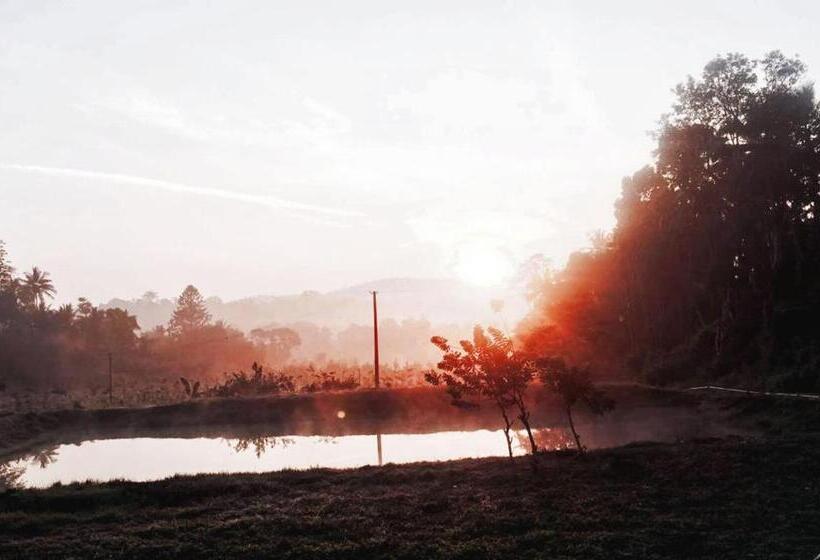 אתר נופש Turtle Pond Home Stay