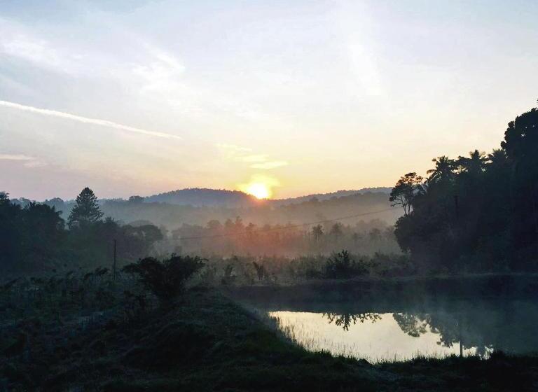 אתר נופש Turtle Pond Home Stay