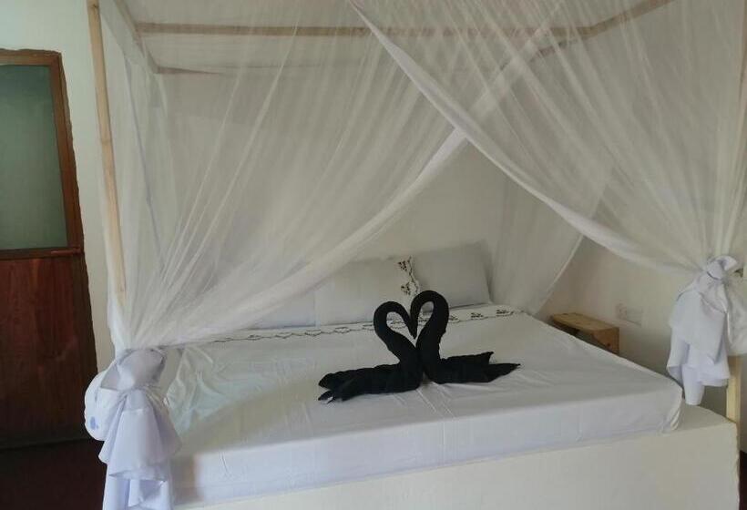 فندق Babalao Rooftop