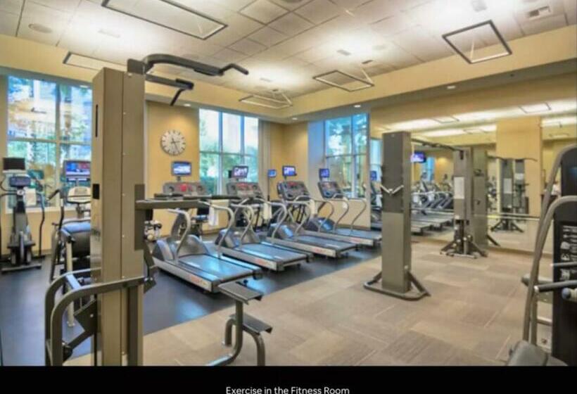 Jet Luxury Elite At The Signature