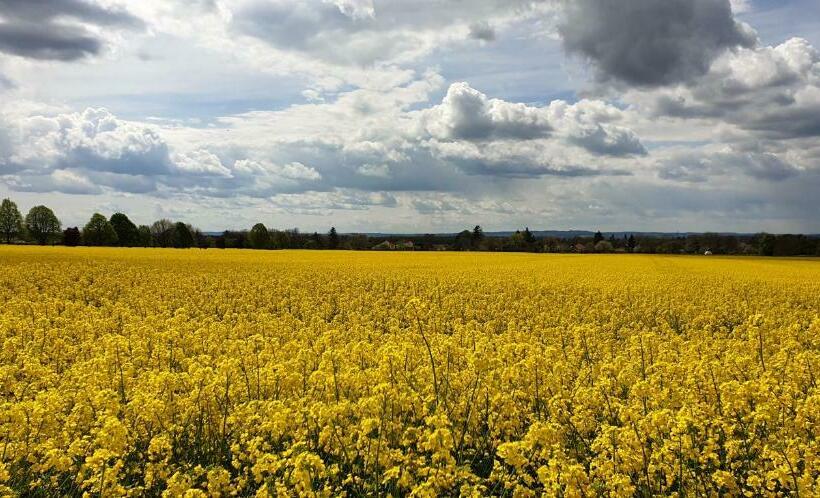 Napfény Apartmanház Balatonberény