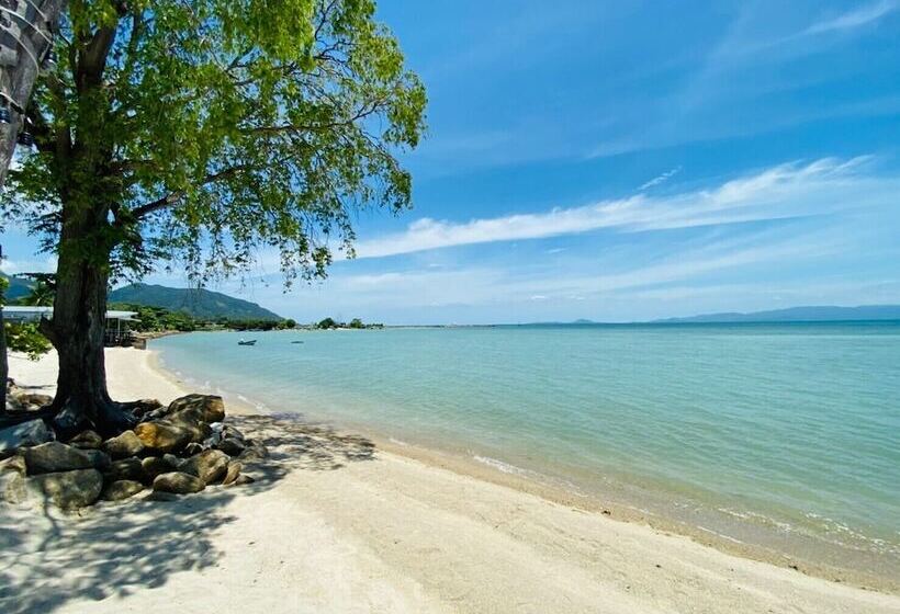 호텔 Absolute Beachfront Villas