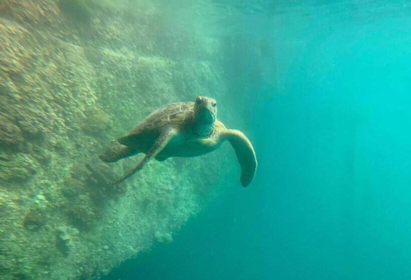 ベッドアンドブレックファースト Island Views