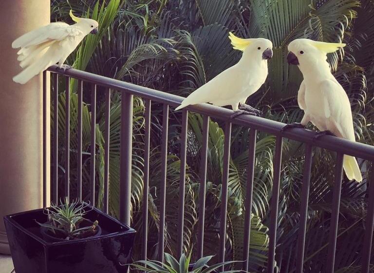 Bed and Breakfast Island Views