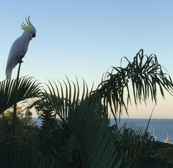 ベッドアンドブレックファースト Island Views