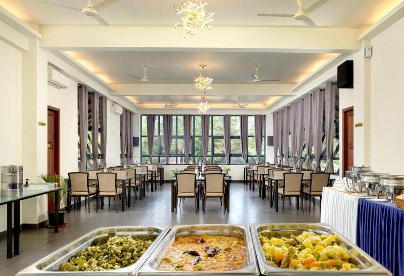 فندق Fern Tree Resort