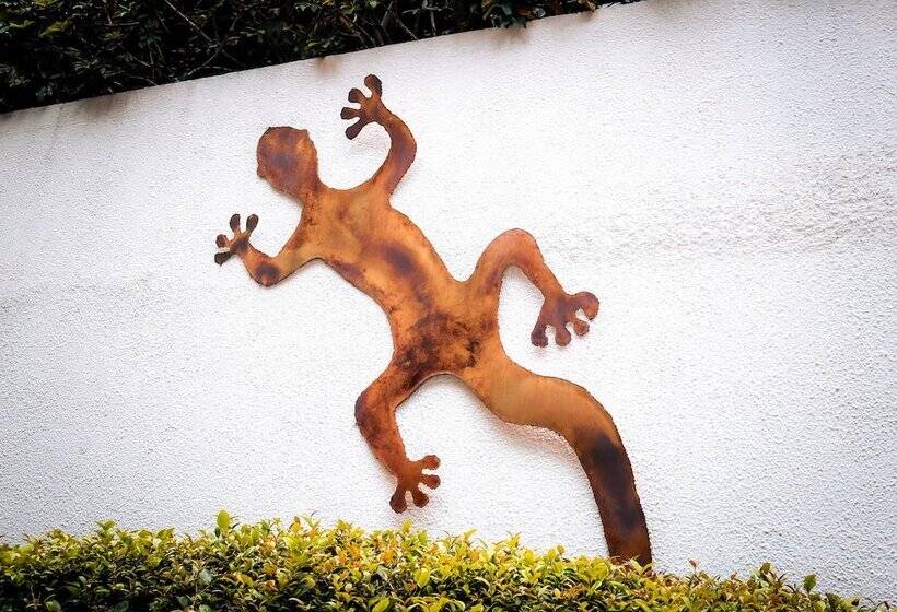 Общежитие Hostal Cuija Coyoacán