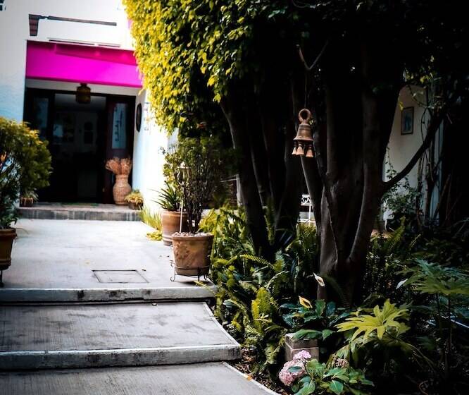 Общежитие Hostal Cuija Coyoacán