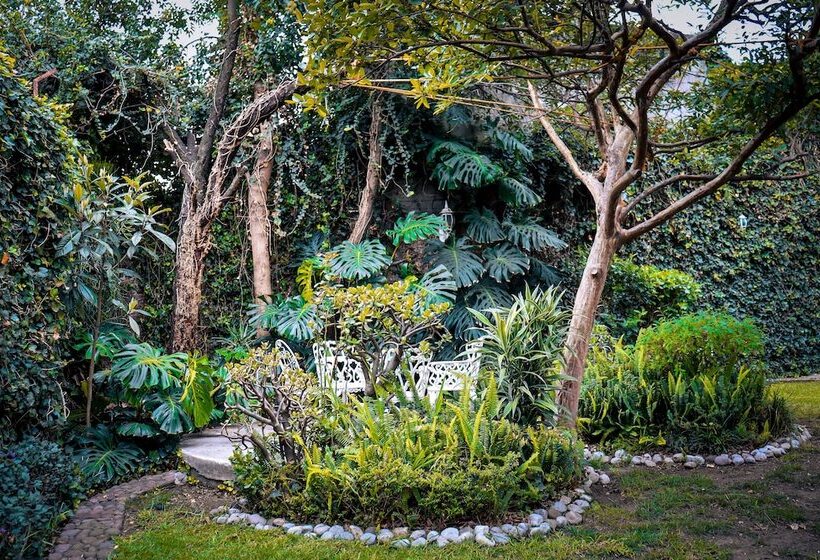 Общежитие Hostal Cuija Coyoacán