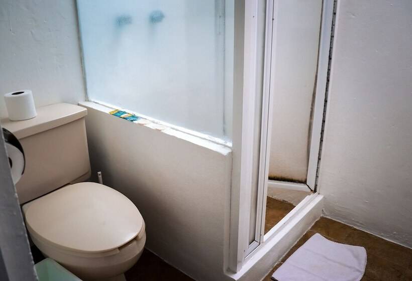 Общежитие Hostal Cuija Coyoacán