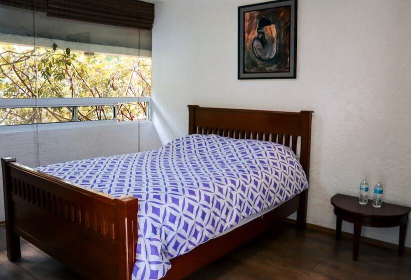 Общежитие Hostal Cuija Coyoacán