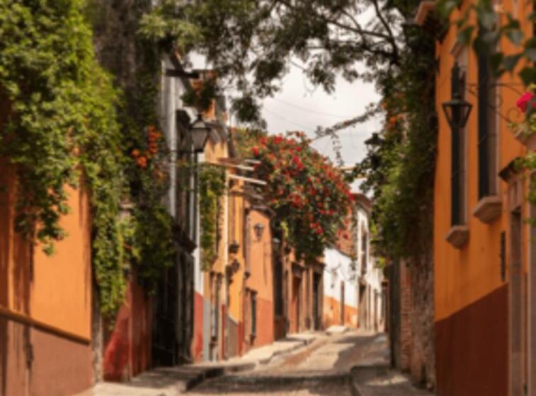 Общежитие Hostal Cuija Coyoacán