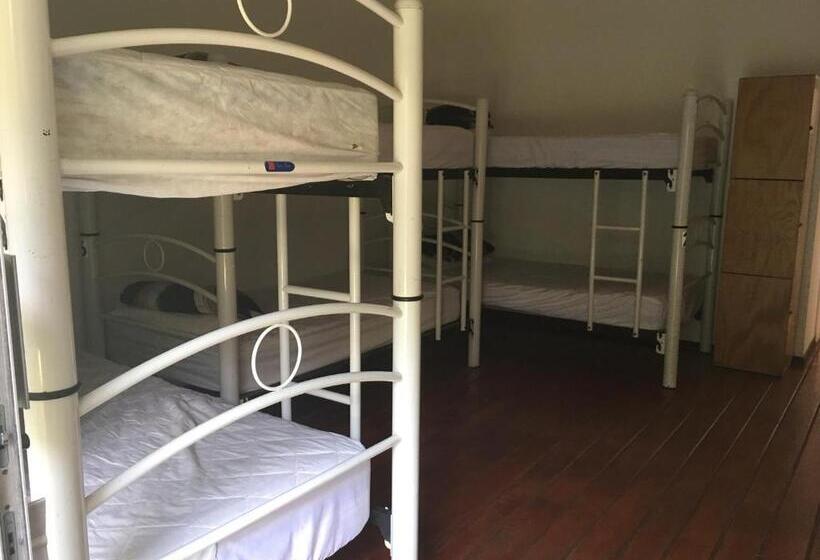 Общежитие Hostal Cuija Coyoacán