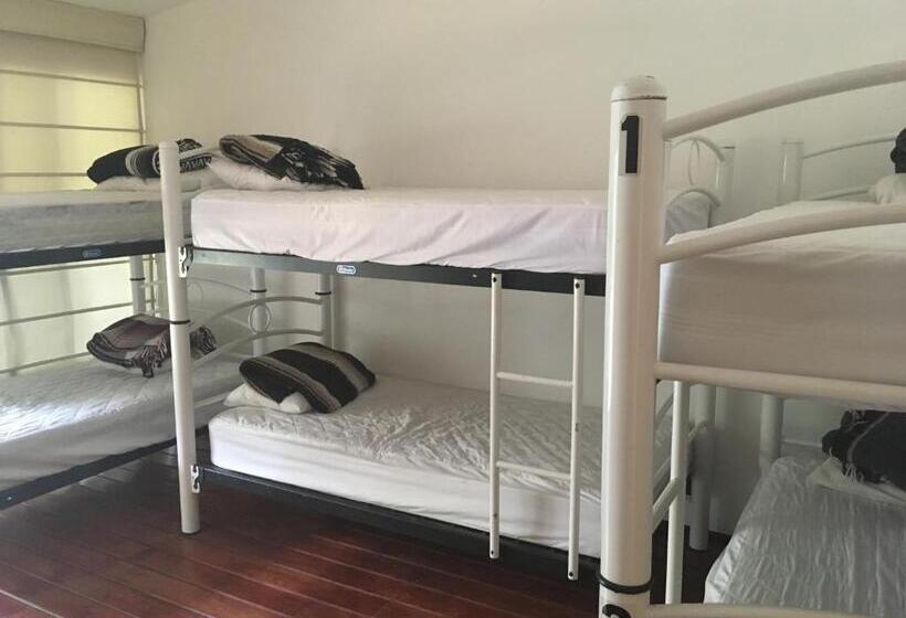 Общежитие Hostal Cuija Coyoacán
