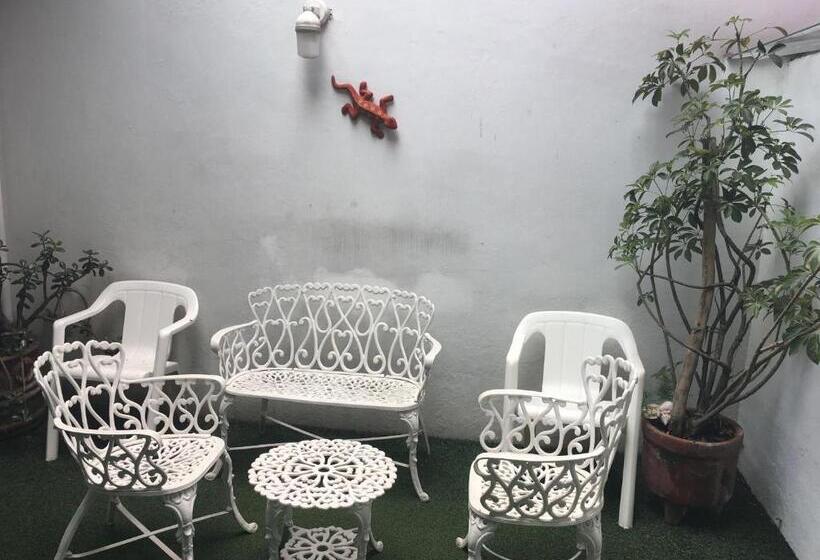 Общежитие Hostal Cuija Coyoacán